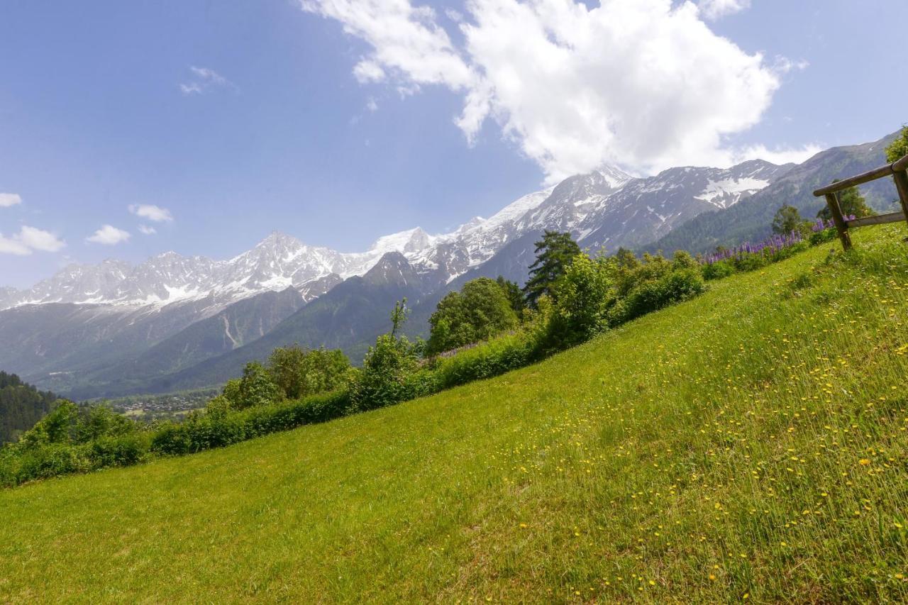 Appartement Chaleureux Les Houches 29 M² Piscine Partagee Екстериор снимка